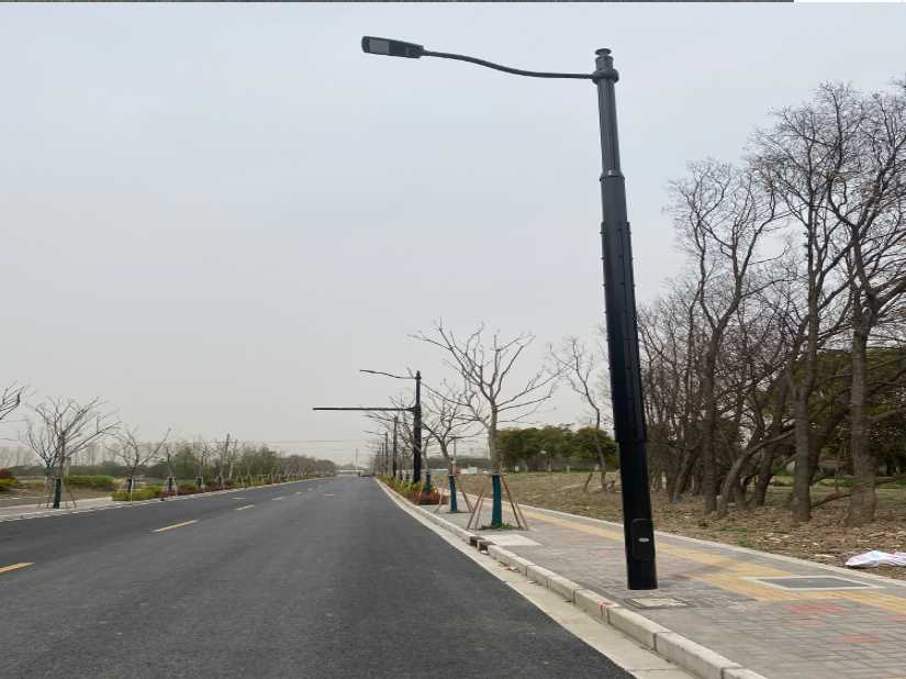 广平县上海综合杆 太阳能路灯工程